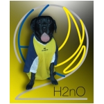 H2NO Merlino la mascotte07-08.bmp